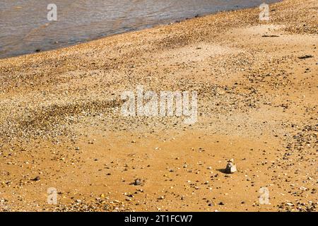 Très forte lumière latérale montrant des cailloux et des petits coquillages sur une plage de sable Banque D'Images