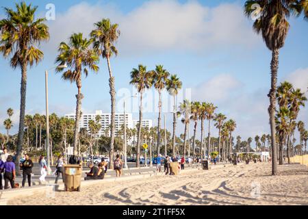 Marcher sous les palmiers à Santa Monica Beach, Californie Banque D'Images