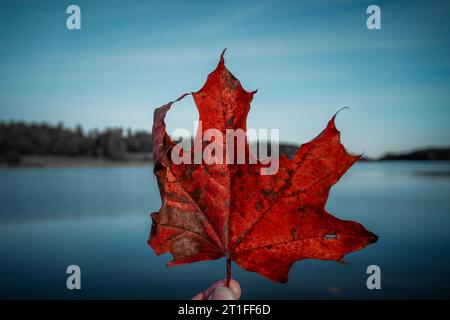 Gros plan de la main tenant la feuille d'érable contre le lac pendant l'automne Banque D'Images