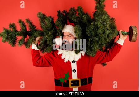 Joyeux Noël et bonne année. Père Noël avec arbre de Noël. Service de livraison. Homme barbu sérieux en costume de Père Noël portant Noël Banque D'Images