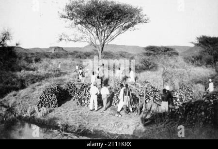 Général Kitchener et l'anglo-égyptiennes de la campagne du Nil, 1898 travailleurs civils arabes en bois des stocks sous la supervision d'un officier anglais, probablement à l'Atbara, Soudan. Banque D'Images