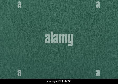 Cuir vert véritable, fond de texture en similicuir écologique. Matériau pour rembourrage et design d'intérieur, articles de sport et vêtements. Papier peint, b Banque D'Images