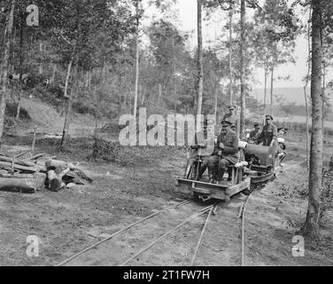 Les visites officielles sur le front de l'Ouest, 1914-1918 Le Roi George V équitation à travers la forêt Hesdin sur un chemin de lumière lors d'une visite à une société de Corps forestier y travaillent, 7 août 1918. Banque D'Images