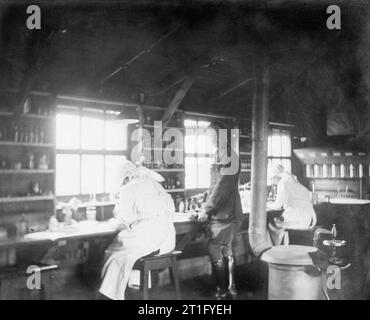 L'Edis Olive, photographe de l'IWM Women's Services en France 1919 Laboratoire. 25e hôpital stationnaire. Rouen. Le capitaine Hartley et Miss Dalton - travail microscopique. Banque D'Images