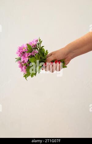 Goiânia, Goias, Brésil – 13 octobre 2023 : gros plan d’une main femelle tenant un bouquet de fleurs de lilas. Banque D'Images