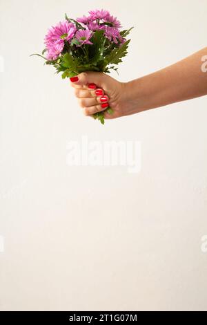 Goiânia, Goias, Brésil – 13 octobre 2023 : gros plan d’une main femelle tenant un bouquet de fleurs de lilas. Banque D'Images