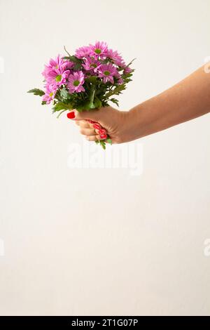 Goiânia, Goias, Brésil – 13 octobre 2023 : gros plan d’une main femelle tenant un bouquet de fleurs de lilas. Banque D'Images