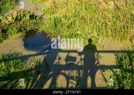 Ombres de deux personnes cyclistes sur l'eau opaque Banque D'Images