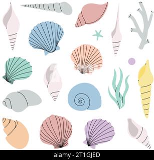 Ensemble de coquillages. Coquillages tropicaux sous-marins. Mollusques de mer, pétoncles, perles. Illustration vectorielle. Illustration de Vecteur