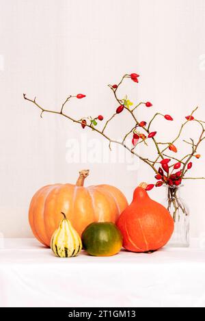 Disposition festive d'Halloween, diverses citrouilles, feuilles et branches de rose musquée sur une table. Concept de vacances d'automne. Vue avant. Banque D'Images