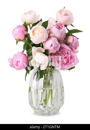 Belles pivoines dans vase en verre isolé sur blanc Banque D'Images