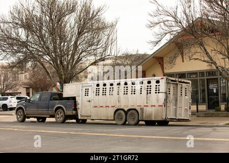 Los Banos, Californie, États-Unis - 3 janvier 2023 : un soleil nuageux d'hiver brille sur un camion avec une remorque de bétail attelée à l'arrière. Banque D'Images