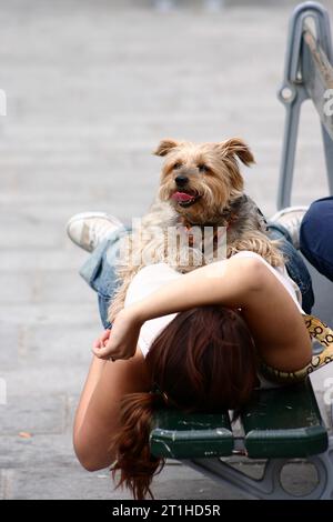 fille fatiguée se détendant sur un banc avec un chien samll sur elle Banque D'Images