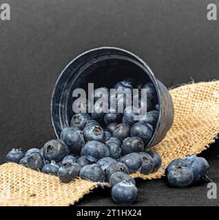 bleuets dans le seau sur fond noir Banque D'Images