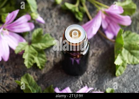 Une bouteille sombre d'huile essentielle de mauve avec plante fraîche de malva sylvestris en fleurs Banque D'Images