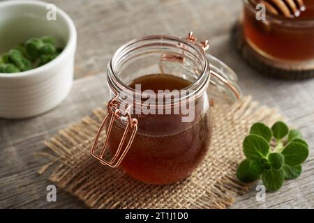 Plectranthus amboinicus sirop pour le froid commun dans un bocal en verre Banque D'Images