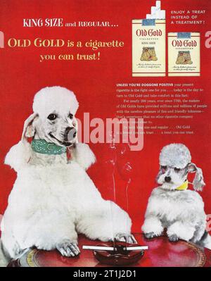1950 Old Gold cigarettes ad. 'Profitez d'un régal au lieu d'un soin.' Banque D'Images