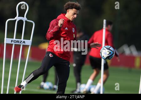 Cardiff, Royaume-Uni. 14 octobre 2023. Ethan Ampadu du pays de Galles lors de l'entraînement de l'équipe de football du pays de Galles à Hensol, Vale of Glamorgan dans le sud du pays de Galles, le samedi 14 octobre 2023. L'équipe s'entraîne avant le match de qualification de l'UEFA Euro 2024 contre la Croatie demain. photo par Andrew Orchard/Andrew Orchard photographie sportive/Alamy Live News crédit : Andrew Orchard photographie sportive/Alamy Live News Banque D'Images