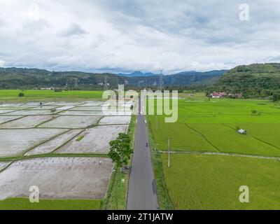 Vue aérienne d'une route au milieu des rizières. Rizières en terrasses à Riau, Sumatra, Indonésie. Banque D'Images