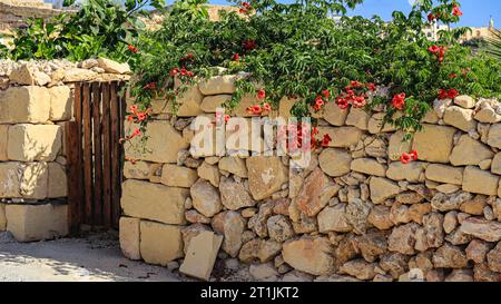 Un mur dans la campagne de Gozitan Banque D'Images