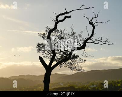 Coucher de soleil d'automne sur Ullswater dans English Lake District Banque D'Images