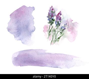 Ensemble d'illustrations abstraites à l'aquarelle de lavande et de taches. Fleurs délicates dessinées à la main lilas isolées sur fond blanc Banque D'Images