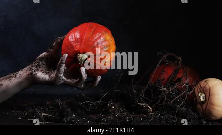 Zombie sort de la tombe pour une citrouille. Une main de cadavre, des racines de plantes et diverses citrouilles. Une main tachée de terre tient une citrouille mûre sur un da Banque D'Images