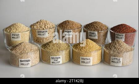 Une seule image montrant les neuf millets. Les millets sont disposés dans des bols étiquetés. Ils sont Jowar, Bajra, Ragi, Jhangora, Barri, Kangni, Ko Banque D'Images