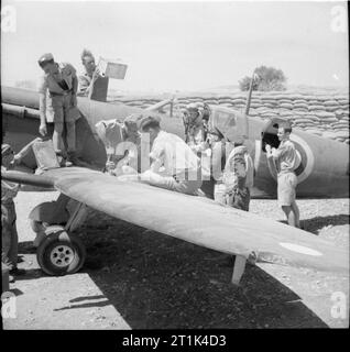 Opérations de la Royal Air Force à Malte, Gibraltar et la Méditerranée, 1940-1945. Le personnel au sol se ravitailler un Supermarine Spitfire marque VC du No 601 Squadron RAF, à l'aide de quatre gallons, boîtes d'essence dans un revettment sacs à Luqa (Malte, tandis que deux armuriers le service du Spitfire Cannon. Dans le cockpit, à s'entretenir avec d'autres membres du personnel de l'escadron, le capitaine est Dennis Barnham. Banque D'Images