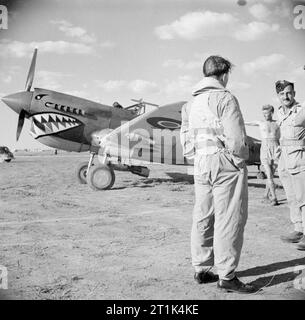 Royal Air Force- l'Italie, les Balkans et l'Europe du sud-est, 1942-1945. Squadron-Leader P F Illingworth (dos à la caméra), le commandant de l'escadron no 112 RAF, traite d'une cible avec l'armée, avant de partir pour une sortie de Foggia, Italie. Derrière eux est son Curtiss Kittyhawk Mark III. Banque D'Images