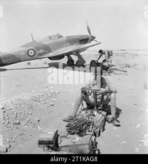 Opérations de la Royal Air Force au Moyen-Orient et en Afrique du Nord, 1939-1943. Le sergent F H pilote doyen du No 274 Squadron RAF examine de ceintures de munitions .303 avant de les installer dans son avion à Sidi Barrani, Égypte. Dans l'arrière-plan, l'un des personnel de attache un trolleybus à accumulateur Hawker Hurricane Mark I, P2638, les sportifs de l'éclair jaune lent (plus tard changé en bleu) qui est devenu l'Escadron 274 insigne non officiel à ce moment. Le Sergent Dean a été abattu et tué le 15 mai 1941, lorsque sa section d'ouragans se sont battus avec Messerschmitt Bf 109s près à Halfaya Banque D'Images