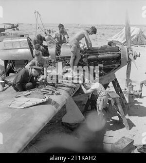 Opérations de la Royal Air Force au Moyen-Orient et en Afrique du Nord, 1939-1943. Le personnel de l'Escadron n° 274 Révision de la RAF Hawker Hurricane Mark I, V7780 'Alma Baker Malaya', chez LG 10/Gerawala, Libye, au cours de la défense de Tobrouk. Banque D'Images