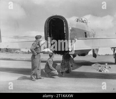 Retour à leur base, East Wretham, Norfolk, deux membres de l'équipage d'Avro Lancaster B Mark II, DS669 'KO-L', du no 115 Squadron RAF, examinez l'arrière de leur avion, où la tourelle arrière, avec ses malheureux mitrailleur, a été cisaillé par bombes larguées d'un avion volant au-dessus, au cours d'un raid sur Cologne sur la nuit du 28 au 29 juin 1943. Banque D'Images