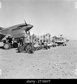 Opérations de la Royal Air Force au Moyen-Orient et en Afrique du Nord, 1939-1943. Les armuriers se préparer pour charger 250 lb-bombes GP sur Curtiss Kittyhawk Mark III du No 260 Squadron RAF, à Marble Arch au sol à l'atterrissage, la Libye. Le remorquage du chariot chariots-bombe a été équipé d'un trépied à la mitrailleuse Browning. Banque D'Images