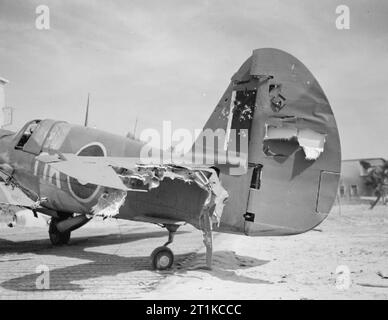 Royal Air Force- l'Italie, les Balkans et le sud-est de l'Europe, 1942-1945. La queue de Curtiss Kittyhawk endommagé Mark IV, FX529, du no 450 Squadron RAAF, qui a été volé à la base à Cervia, Italie, par le commandant de l'escadron, le chef d'Escadron J C Doyle, après avoir été touché par des tirs antiaériens lors d'une sortie d'attaque au sol au cours de la 8ème Armée avant. Banque D'Images