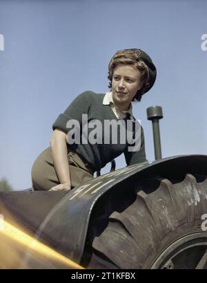 L'Armée de terre fille Doreen Bacchus au Women's Corps Bois camp d'entraînement à Culford dans le Suffolk. Doreen, Bacchus, une fille de l'Armée de terre, sur un tracteur. Banque D'Images