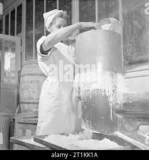 Un substitut de la quinine- la production de Mepacrine dans une usine près de Londres, Angleterre, RU, 1945 Mme Edgington remplit la trémie d'un 'broyeur' avec les ingrédients de Mepacrine, qui sont sous la forme d'une pâte humide. Le granulateur 'forces' 'strings solide un peu plus' de Mepacrine sur les côtés de la machine. La légende originale précise que Mme Edgington a deux fils en poste au Moyen-Orient et espère que "s'ils ont besoin d'une dose de quinine, ils recevront l'un des comprimés qu'elle aide à faire'. Banque D'Images