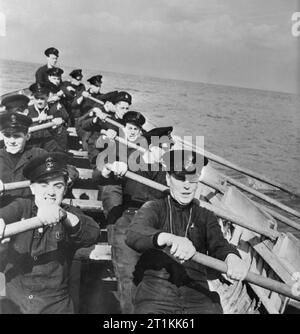 Ex-facteur fournit les canons- Formation de la marine marchande en Grande-Bretagne, 1942 William Charles Piper et son bateau s'accouple tirer fortement sur les avirons pendant une leçon d'aviron dans le cadre de leur formation à la Marine royale de l'Institut de formation des marins marchands. Cette photographie a été presque certainement prises sur le HMS GORDON à Gravesend dans le Kent. Banque D'Images