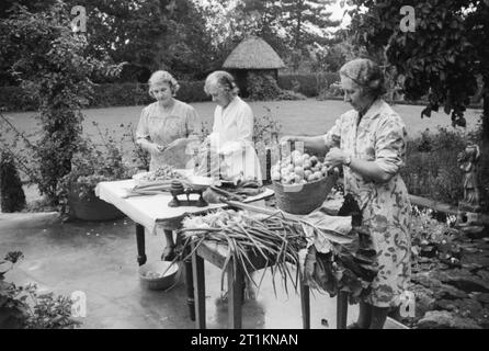 Membres de Springfield Women's Institute (WI) dans l'Essex, chutney faire à une table dans le jardin de la cure, août 1941. Membres de Springfield Women's Institute (WI) faire le chutney à une table dans le jardin de la cure. Mettre les pommes, sur la droite de la photographie, est Mme Vigne, le leader du groupe. La rhubarbe, les pommes et les oignons sont tous cultivés dans les jardins des membres ou sur des parcelles de terre. Banque D'Images