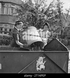 L'alimentation des porcs- Women's Voluntary Service collecte des déchets de cuisine récupérés, East Barnet, Hertfordshire, Angleterre, 1943 travailleurs de récupération WVS Winifred Jordanie (à gauche) et Kathleen Kent vider le contenu d'un grand cochon bin dans leur remorque. Ces restes récupérés seront utilisés comme aliments de porc, d'où la peinture d'un porc prépare à manger sur le côté de la remorque. Banque D'Images