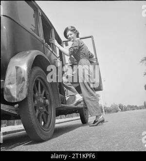 L'alimentation des porcs- Women's Voluntary Service collecte des déchets de cuisine récupérés, East Barnet, Hertfordshire, Angleterre, 1943 Mme Gerald de Rivaz du WVS monte dans le cochon-alimentaire la collecte de voiture qui elle se rend au Barnet, au début d'une journée de travail pour recueillir les déchets de cuisine récupérés. Banque D'Images