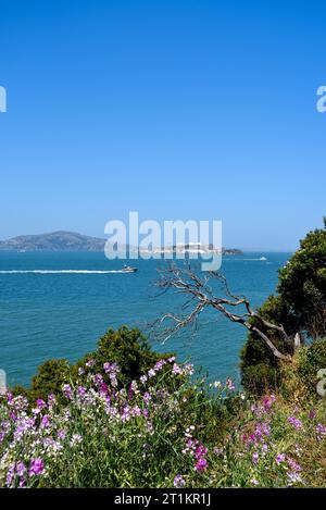 Vue de fort Mason à l'île d'Alcatraz dans la baie de San Francisco, Californie Banque D'Images