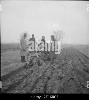 Les agriculteurs américains visiter la Grande-Bretagne- Équipement prêt-bail en action, UK, 1943 18 ans fille Dorothy Fletcher (terres de Newcastle) démontre l'utilité d'un prêt-bail américain Caterpillar Tractor aux agriculteurs américains (de gauche à droite) M. Howard, M. Robinson et M. Heline, probablement quelque part dans le Buckinghamshire. Le tracteur roule est utilisé pour tirer une charrue de la Rançon rançons, Sims et Jeffries d'Ipswich. La légende originale indique que les visiteurs sont à admirer la rectitude de la sillons. Banque D'Images