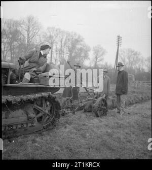 Les agriculteurs américains visiter la Grande-Bretagne- Équipement prêt-bail en action, UK, 1943 Land Girl Kathleen Johnson démontre le labourage des possibilités d'un Caterpillar D2 tracteur et charrue profonde Oliver digger à M. Heline, M. Howard et M. Robinson sur les herbages, quelque part dans le Buckinghamshire. La charrue est de l'Oliver Farm Equipment Company de Chicago. Banque D'Images