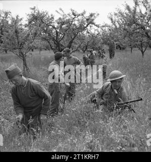 L'Armée britannique en Italie 1945 L'Infanterie de la 1ère Le King's Own Royal Regiment commencent à creuser des tranchées dans un verger près de Vedrano, 21 avril 1945. Banque D'Images