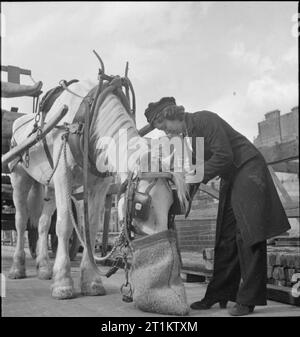 Van Girl - livraisons de chevaux et de chariots pour le London, Midland and Scottish Railway, Londres, Angleterre, 1943. Banque D'Images