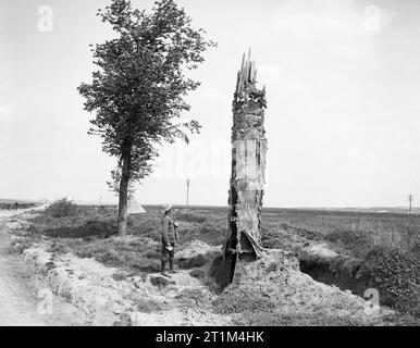 Un poste d'observation des arbres en toile et en acier, près de Souchez, le 15 mai 1918. Banque D'Images