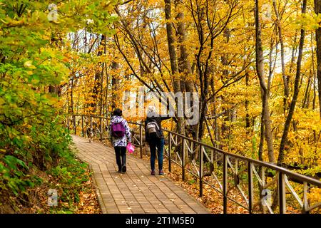 une fille et une femme marchent le long d'un chemin dans un parc parmi les arbres en automne Banque D'Images