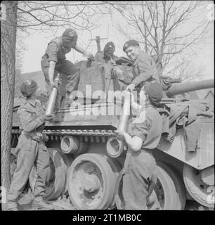 L'Armée britannique au nord-ouest de l'Europe 1944-1945 l'équipage d'une 11e Division blindée charge réservoir de comètes de munitions sur leur véhicule, 13 avril 1945. Banque D'Images