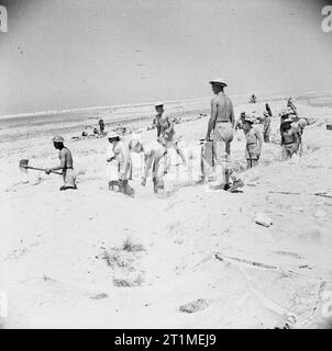 La campagne en Afrique du Nord 1940-1943 El Alamein 1942 : les troupes britanniques à El Alamein en creuser au cours de la première bataille. Banque D'Images